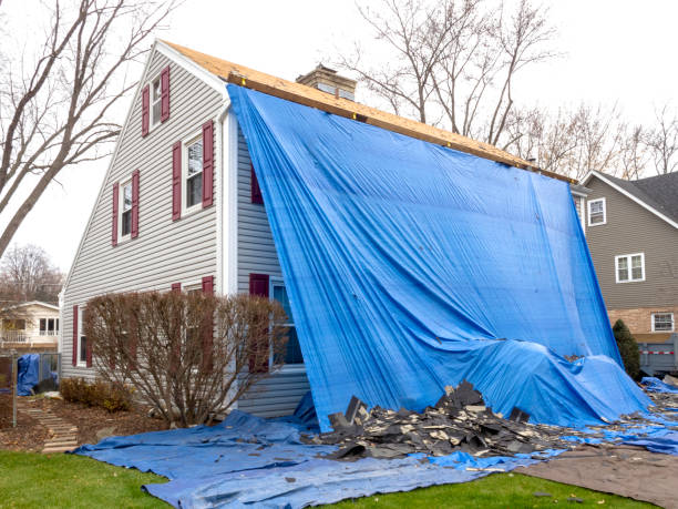 Best Fiber Cement Siding Installation  in Lifornia City, CA